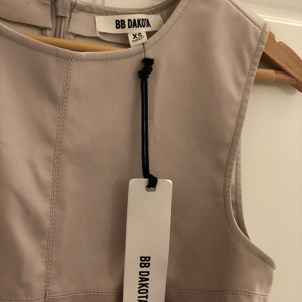 Leather (faux) Shift Dress BB Dakota XS Pale Pink